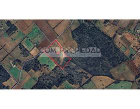 lands for sale in montuiri