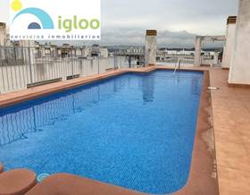 apartments for rent in almoradi