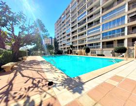 apartment rent valencia gandia by 600 eur