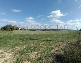 lands for sale in petra