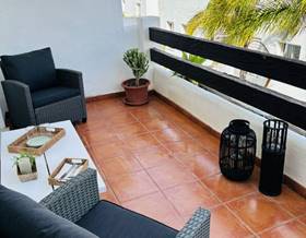 houses for rent in casares