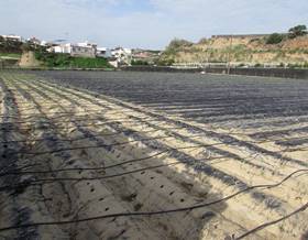 lands for sale in algarrobo