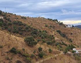land sale malaga montes de málaga by 275,000 eur