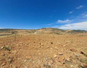 land sale zafra zafra by 90,000 eur