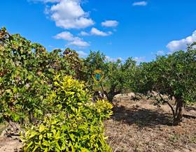 land sale la nucia pueblo by 55,000 eur