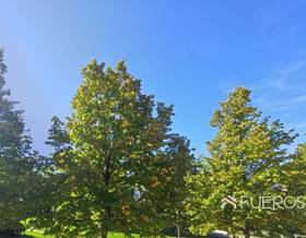 flat sale barakaldo by 325,000 eur