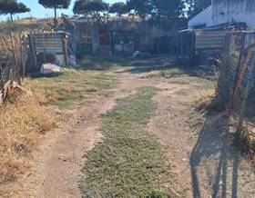 lands for rent in zafra