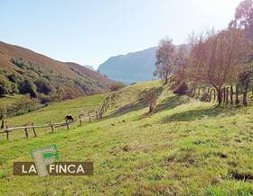 lands for sale in asturias province