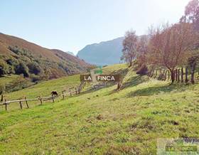 lands for sale in morcin