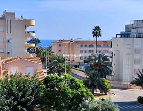 houses for sale in palma de gandia