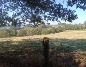 lands for sale in asturias province