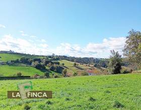 lands for sale in carreño