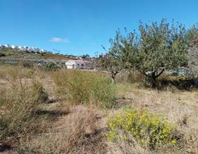 lands for rent in san luis de sabinillas