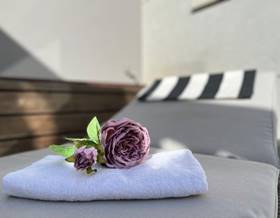 penthouses for rent in ciutat vella valencia