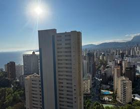 apartments for sale in alicante province