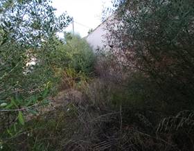 lands for sale in campanet