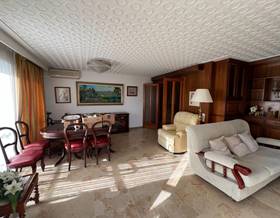 apartments for sale in mallorca islas baleares