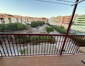 houses for rent in benajarafe