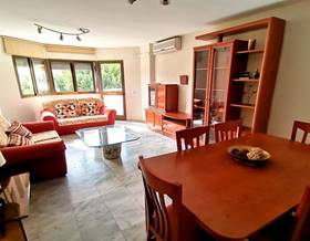 houses for rent in malaga