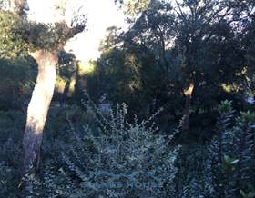 land sale maçanet de la selva maçanet de la selva by 19,000 eur