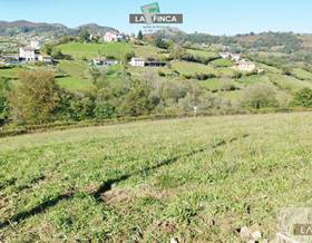 land sale morcin pedrosa by 35,000 eur