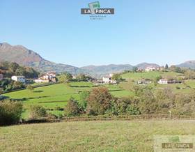 land sale morcin pedrosa by 32,000 eur