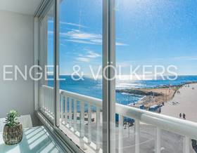 apartment rent torrevieja punta prima by 1,250 eur