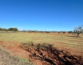 land sale campos campos by 250,000 eur