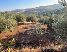 lands for sale in alfarnate