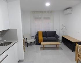 houses for rent in downtown madrid