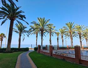 studios for sale in algarrobo