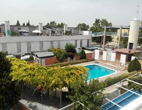 apartments for rent in granada