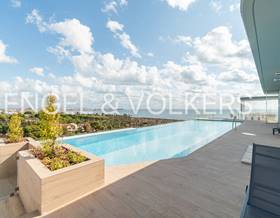 apartment rent torrevieja punta prima by 1,480 eur