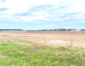 country house sale sanlucar de barrameda canada del amarguillo by 200,000 eur