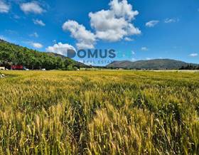 lands for sale in alcudia, islas baleares