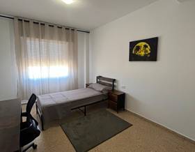 apartments for rent in l´aldea