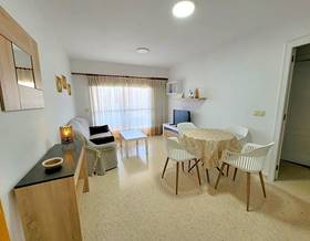 apartment rent gandia playa de gandia by 775 eur