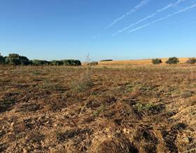 lands for sale in la palma del condado