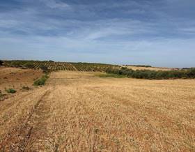 lands for sale in almonte