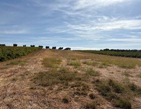 lands for sale in villarrasa