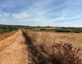 lands for sale in villalba del alcor