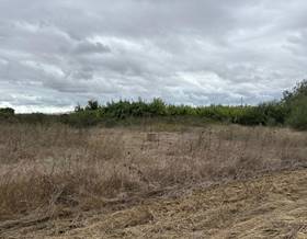 lands for sale in bollullos par del condado