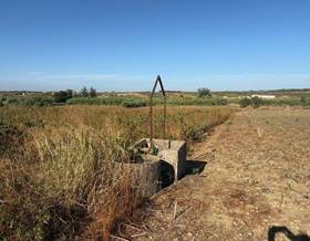 land sale bollullos par del condado andalucia by 10,000 eur