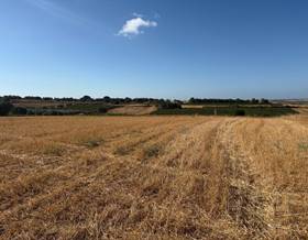lands for sale in bonares