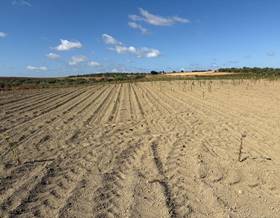 lands for sale in villalba del alcor