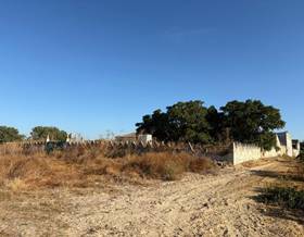 land sale almonte almonte by 230,000 eur