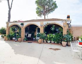 lands for sale in villarrasa