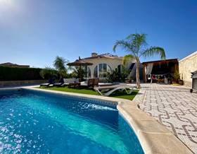 houses for sale in daya vieja