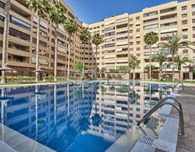 apartments for rent in alicante province