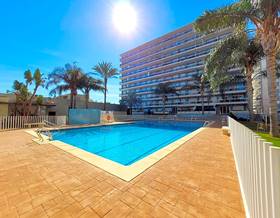 apartments for rent in tavernes de la valldigna